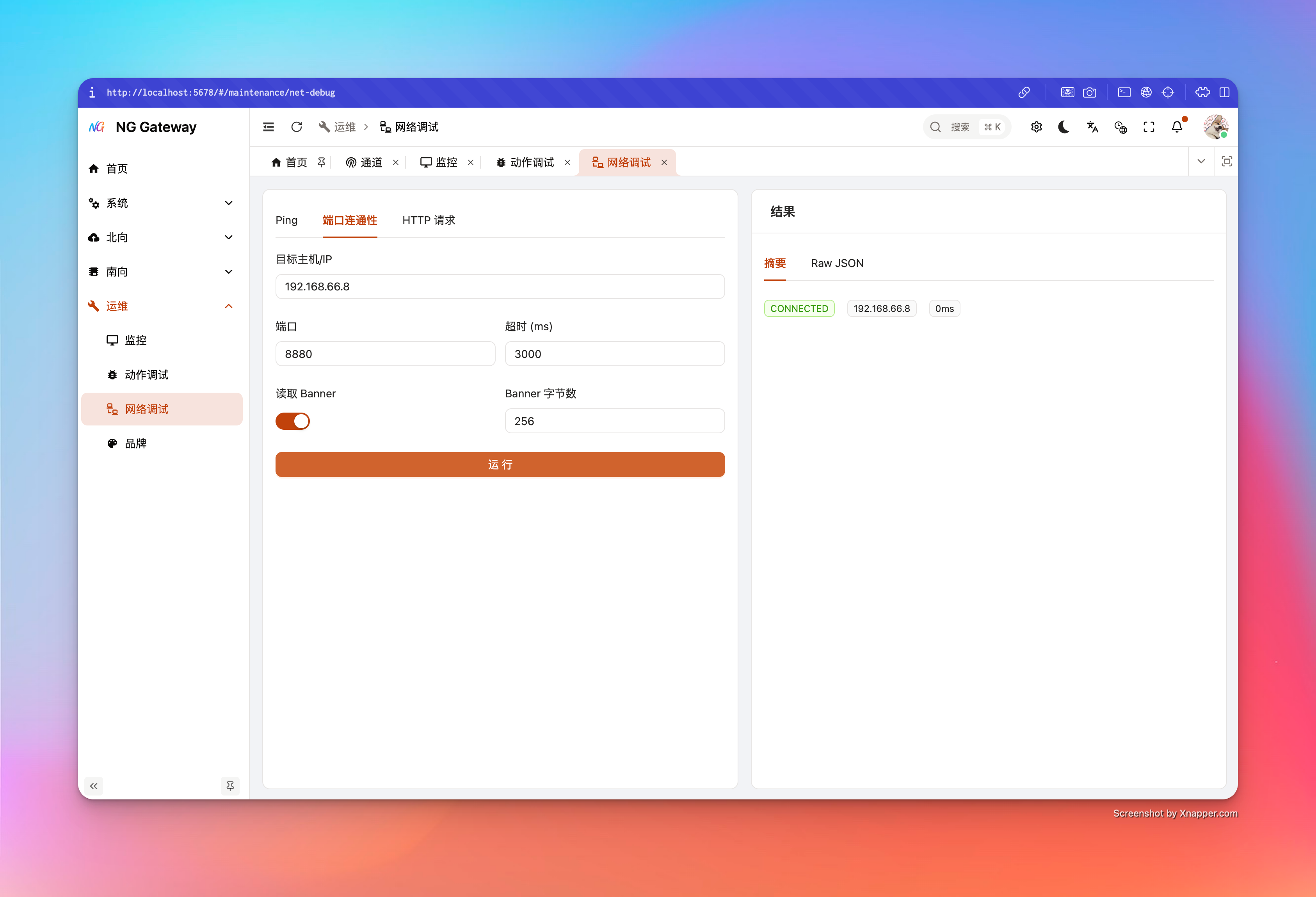 Net debug telnet result